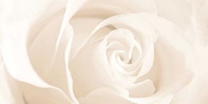Декор настенный керамический  Effecta C-EC2L011D flower бежевый