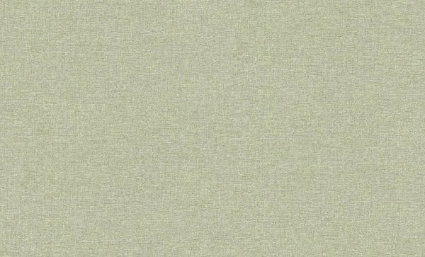 Обои 60068-05 Erismann-R Trend3 флизелиновые горячего тиснения фон зеленый