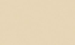 Обои 60109-06 Erismann-R Profi Deco 11 флизелиновые горячего тиснения фон песочный (к 2, 6)