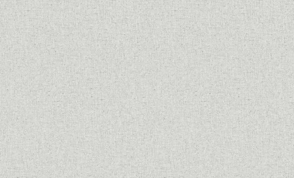 Обои 60192-02 Erismann-R Bolero флизелиновые горячего тиснения мешковина светло-серая