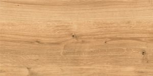 Керамогранит Woodhouse коричневый C-WS4O112D