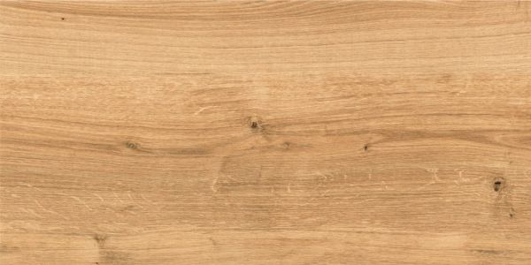 Керамогранит Woodhouse коричневый C-WS4O112D