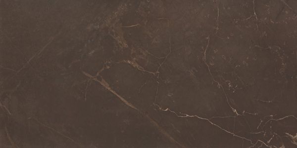 Плитка настенная керамическая  Marble Marron WT9MRB21
