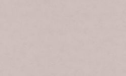 Обои 71646-14PP флизелиновые горячего тиснения РР Виста фон серо-бежевый к 43, 61